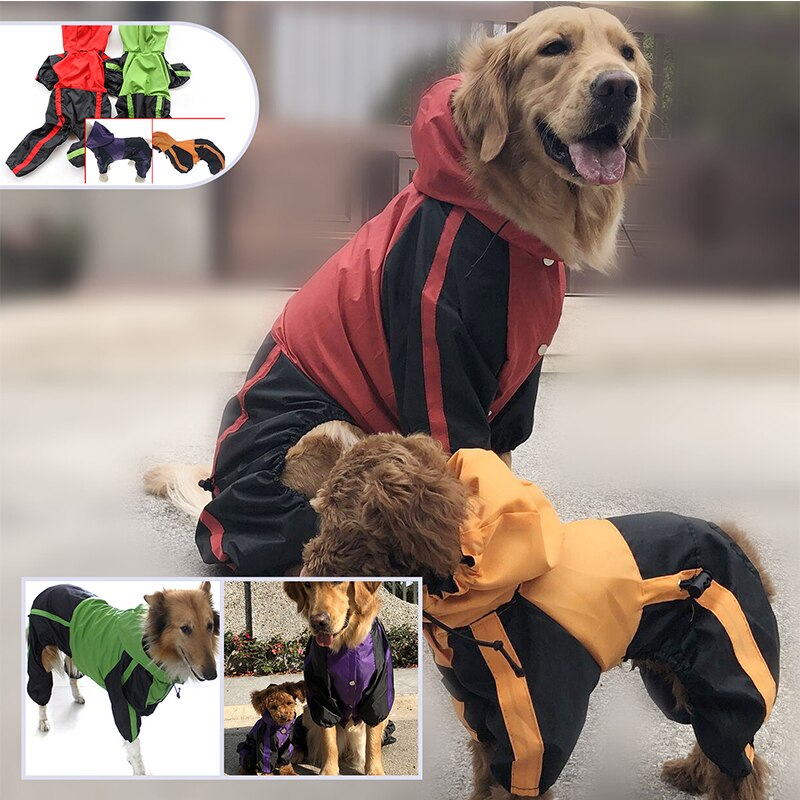 Imperméable pour grand chien