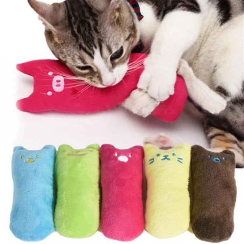 Coussin à l'herbe à chat interactif