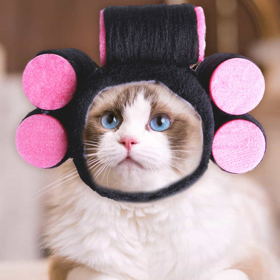 Perruque bouclée amusante pour chat et chien
