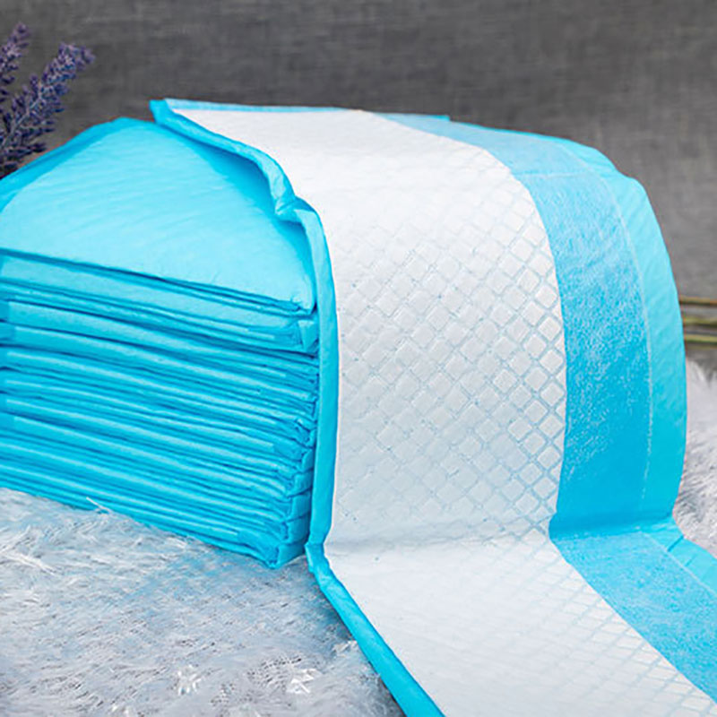 Tapis absorbant jetable pour animaux