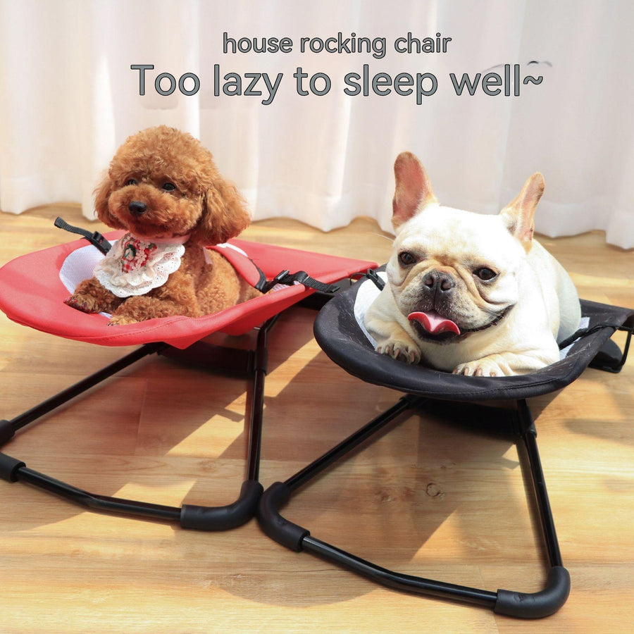 Rocking chair portable pour chien
