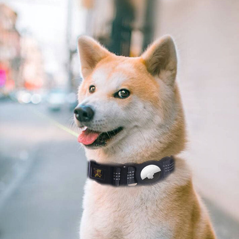 Collier porte-AirTag pour chien et chat