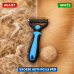 Avant après brossage avec la brosse anti-poils PawBrush Pro